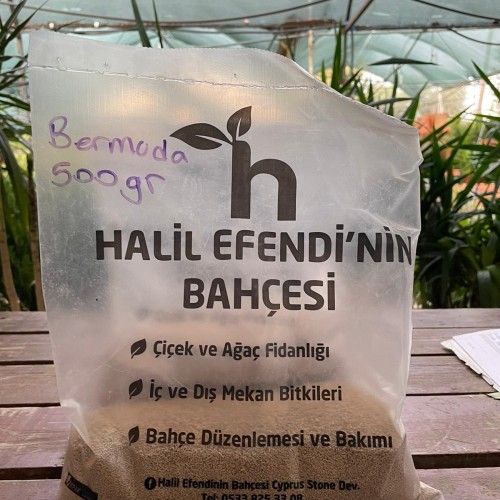 500 gr Bermuda çim tohumu