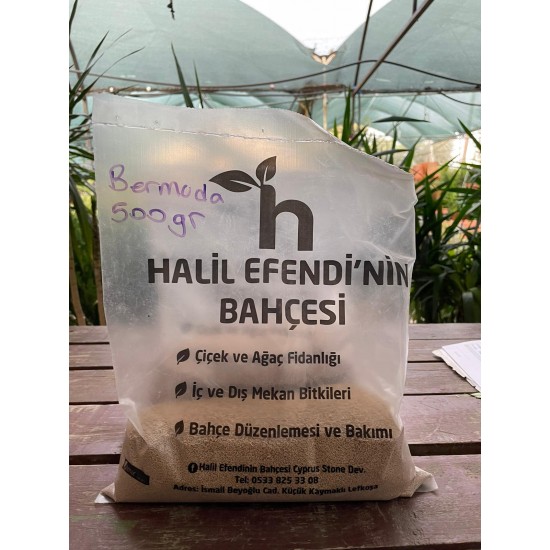 500 gr Bermuda çim tohumu