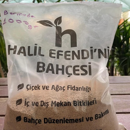 1 kg Bermuda çim tohumu