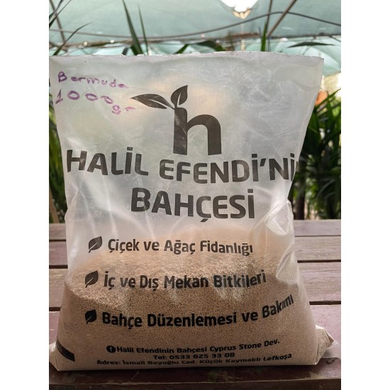 1 kg Bermuda çim tohumu