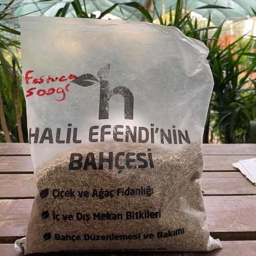 1 kg Festuca çim tohumu