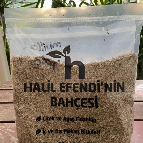 500 gr Lolium çim tohumu