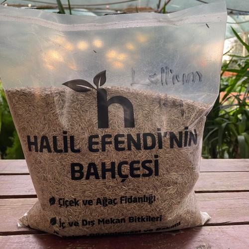 1 kg Lolium çim tohumu