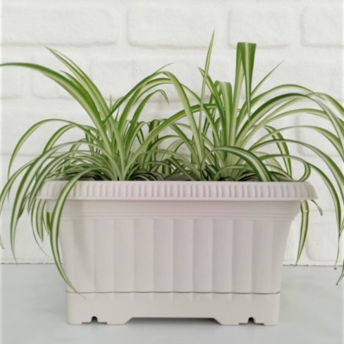 Ova Balkon Saksı no1 3.5 lt 