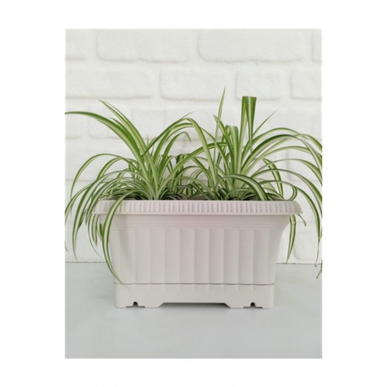 Ova Balkon Saksı no1 3.5 lt 