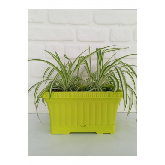 Ova Balkon Saksı no1 3.5 lt 