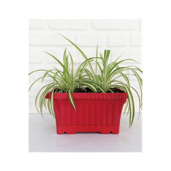 Ova Balkon Saksı no1 3.5 lt 