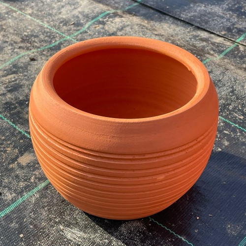 Minik çizgili topan saksı