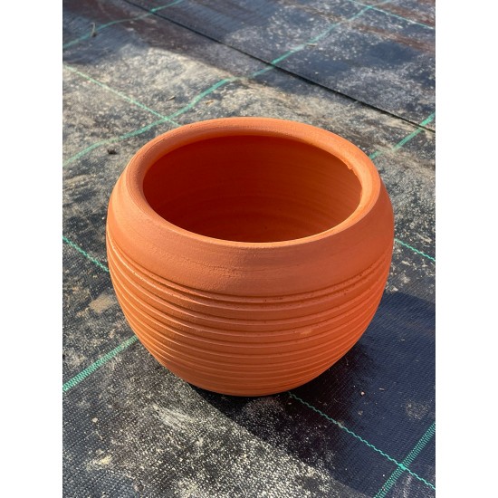 Minik çizgili topan saksı