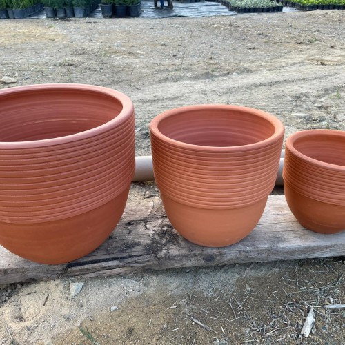 Floransa saksı ailesi