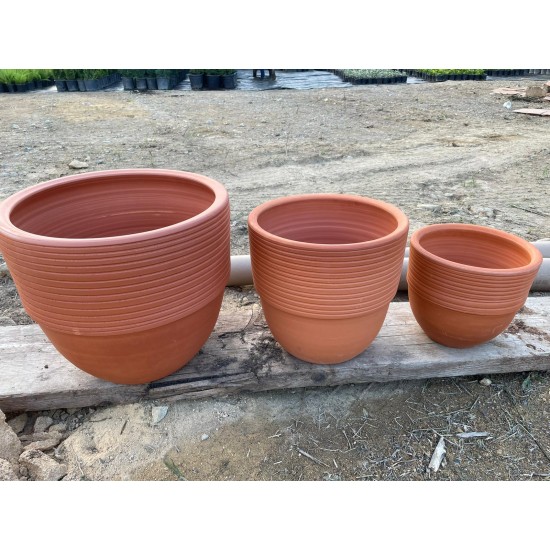 Floransa saksı ailesi