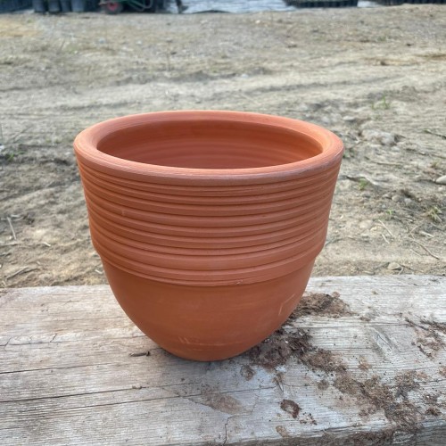 Floransa saksı ailesi