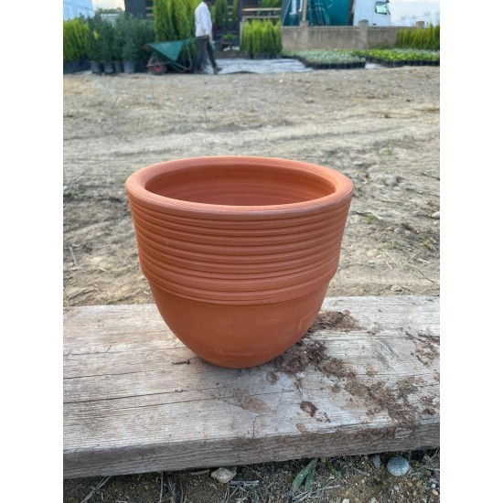 Floransa saksı ailesi