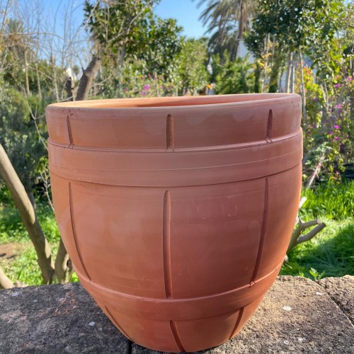 Fıçı saksı ailesi