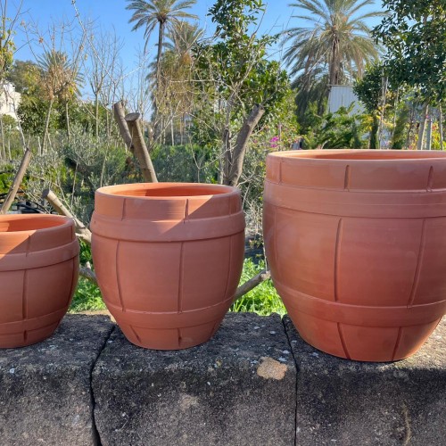 Fıçı saksı ailesi