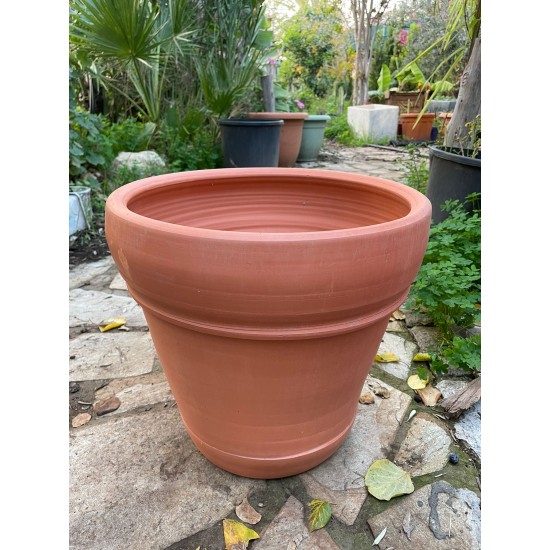 İtalyan saksı ailesi