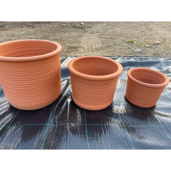 Çizgili silindir saksı ailesi