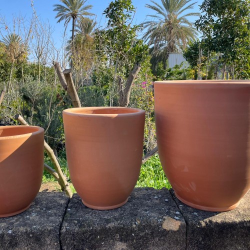 Milano saksı ailesi