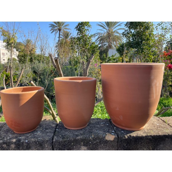 Milano saksı ailesi