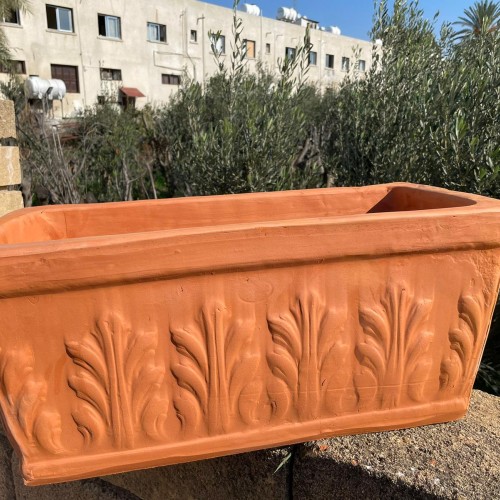 Sarmaşıklı kalıp