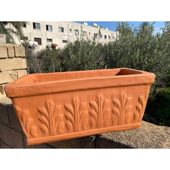 Sarmaşıklı kalıp